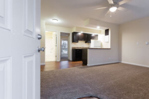Entry / Living Room