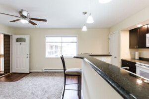 Kitchen / Living Room