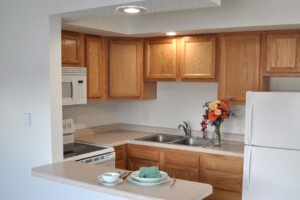 Kitchen Closeup