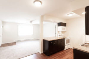 Kitchen / Living Room